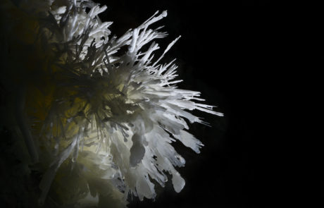 Gouffre de Cabrespine stalactique